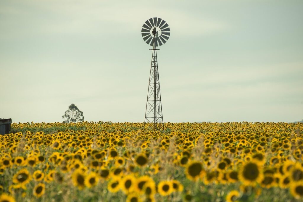 community supported agriculture australia