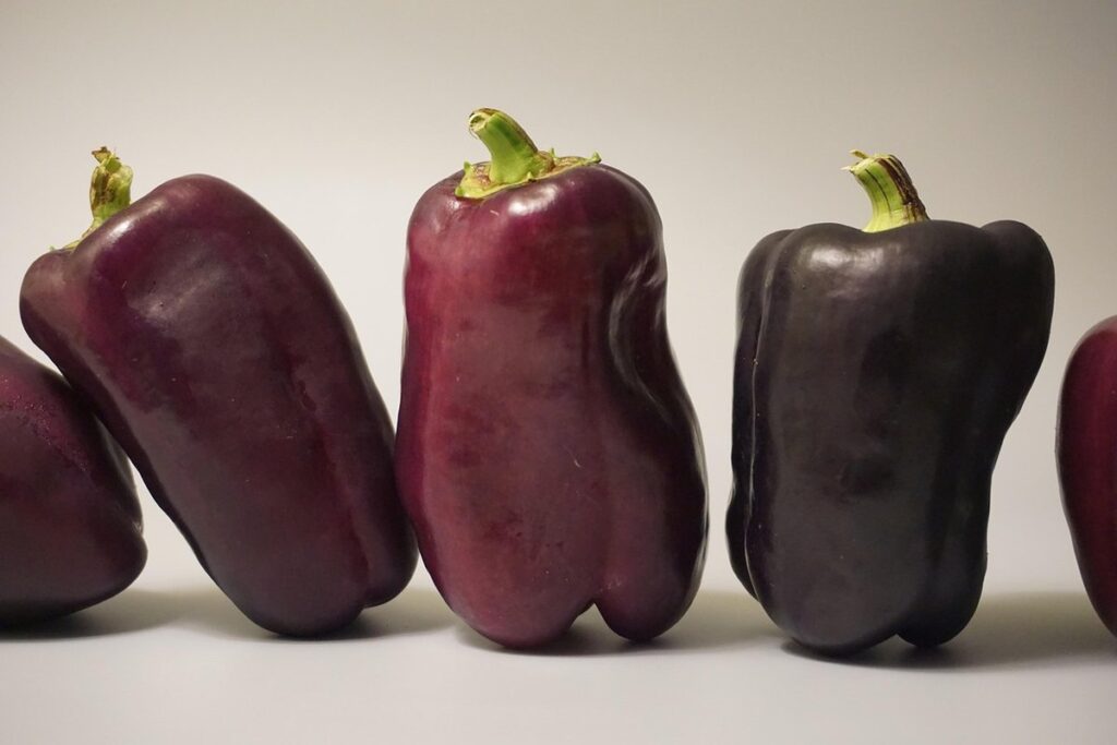 bell pepper companion plants