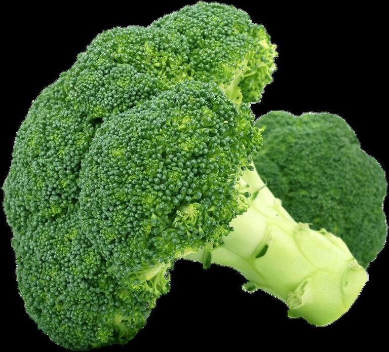 calabrese broccoli