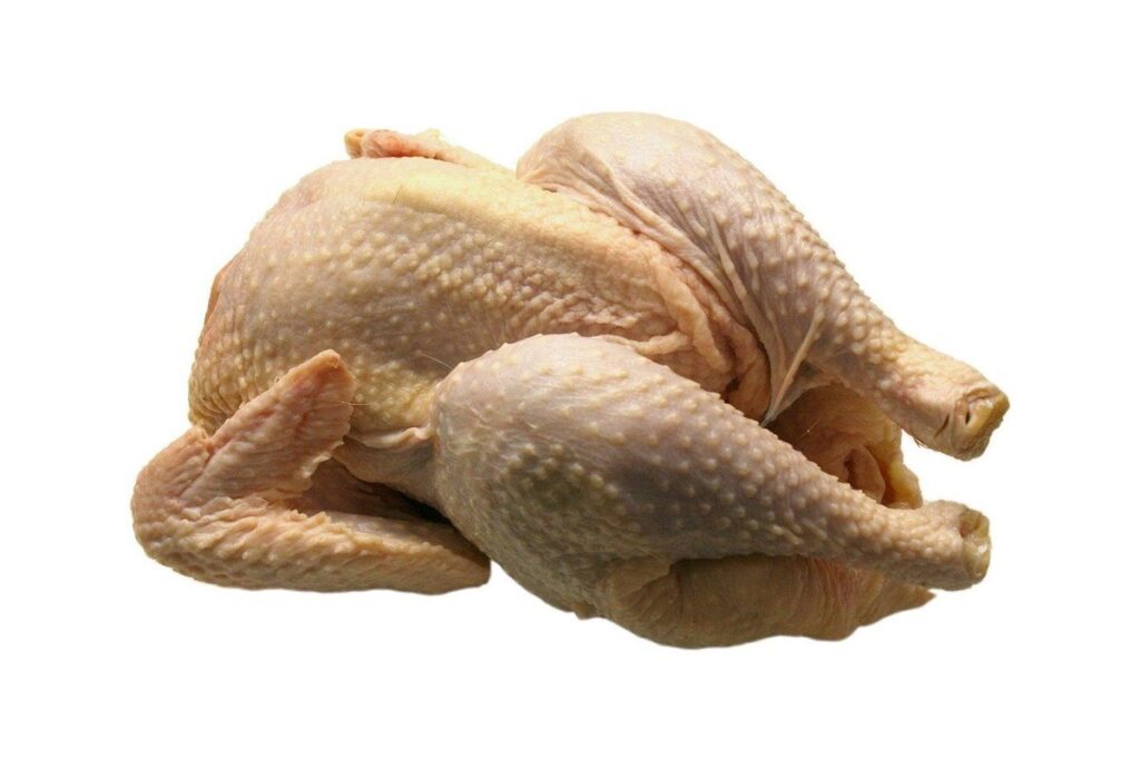 broiler poultry