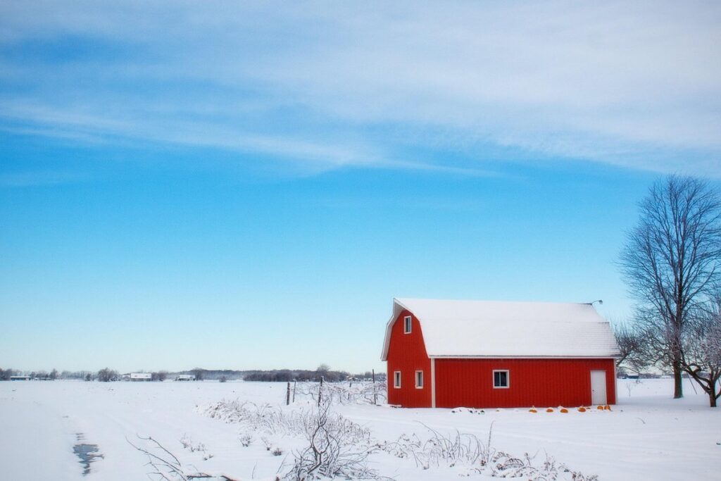 calving barn designs