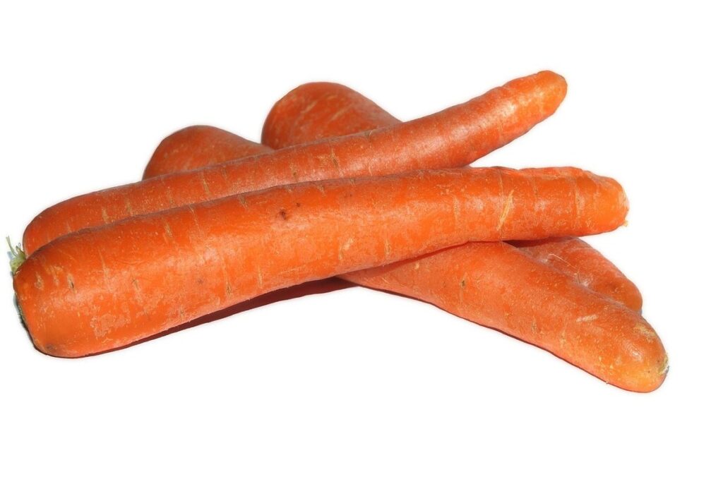 carrot companion plants