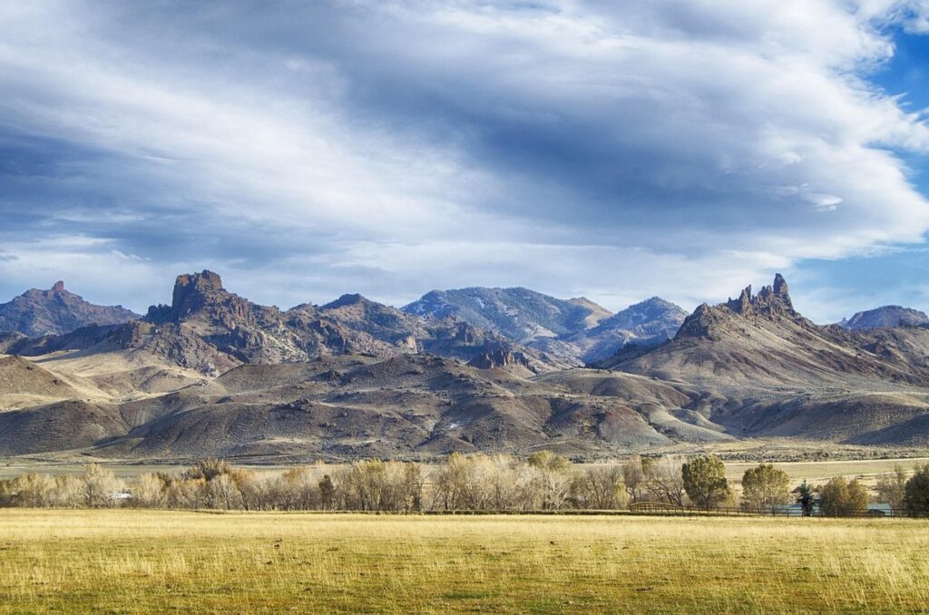 how to start a cattle ranch