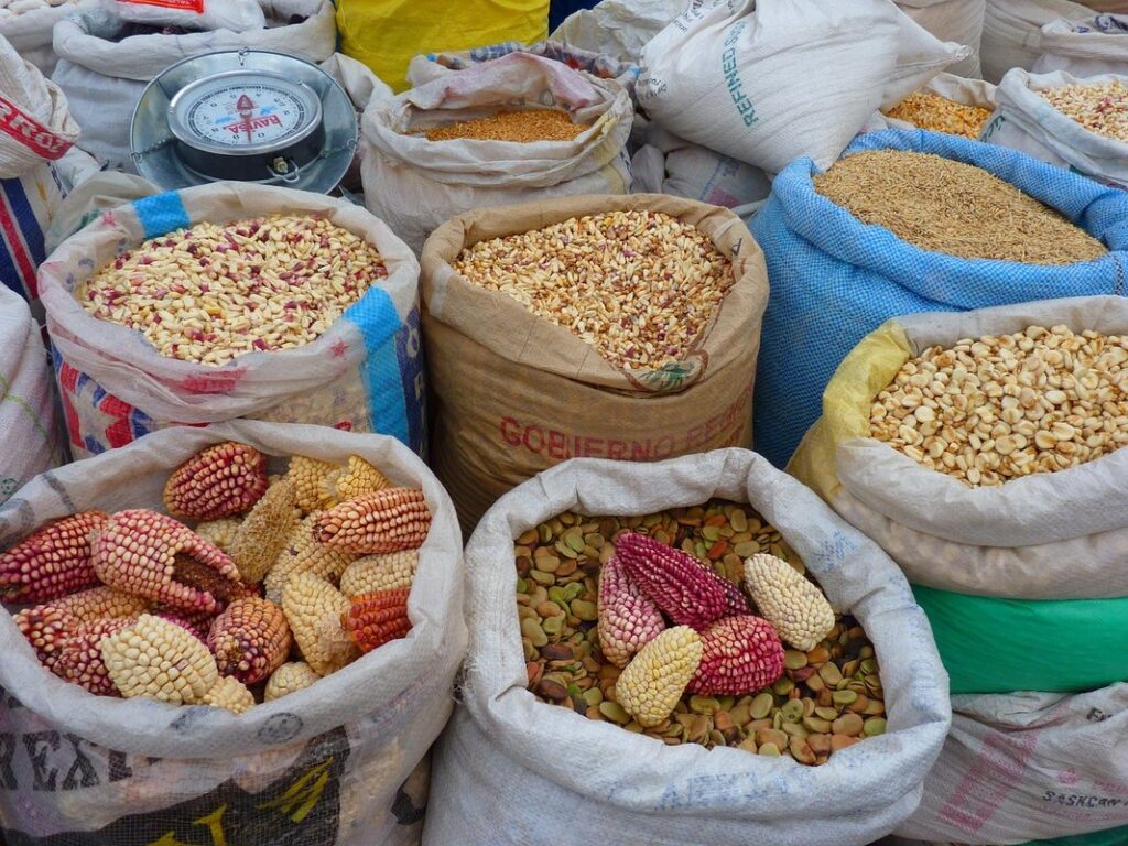 corn market