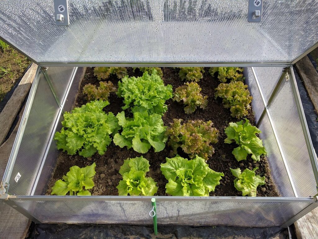 diy mini greenhouse