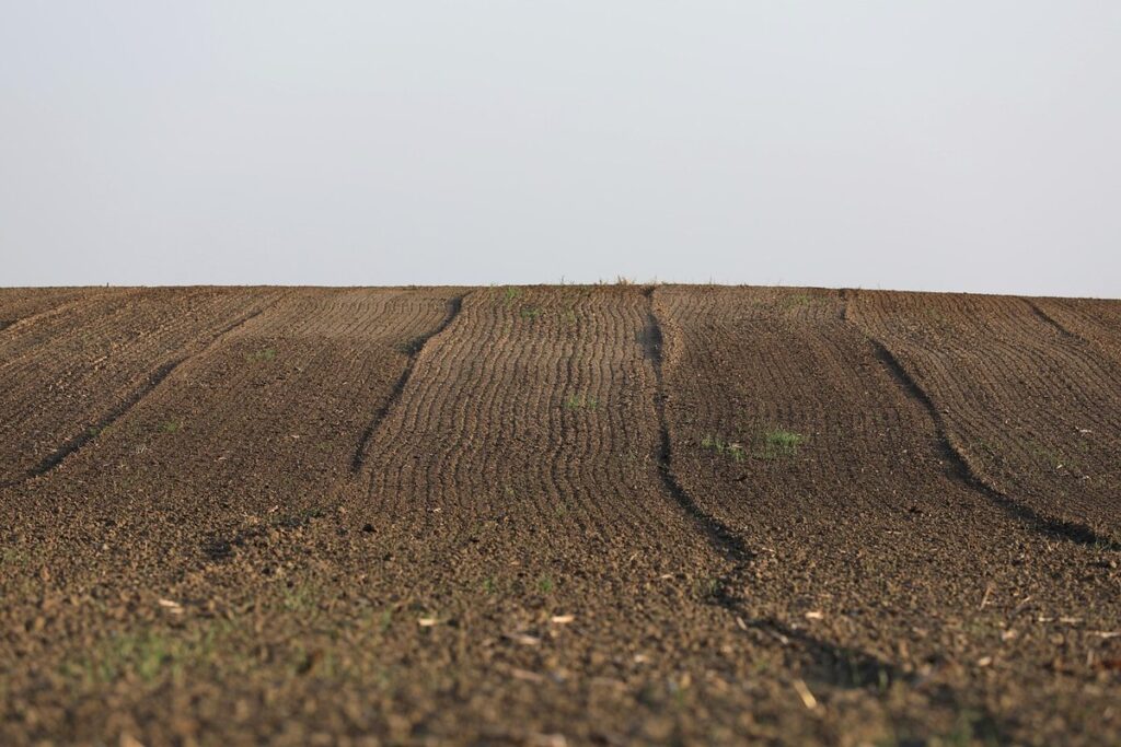 farming dry land
