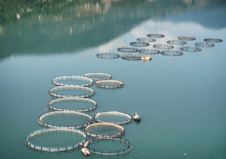 fish farms in wisconsin