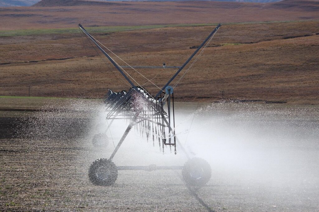 furrow irrigation