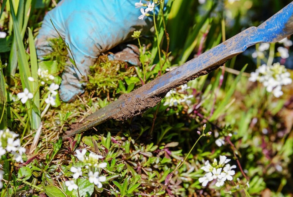 how to weed your garden