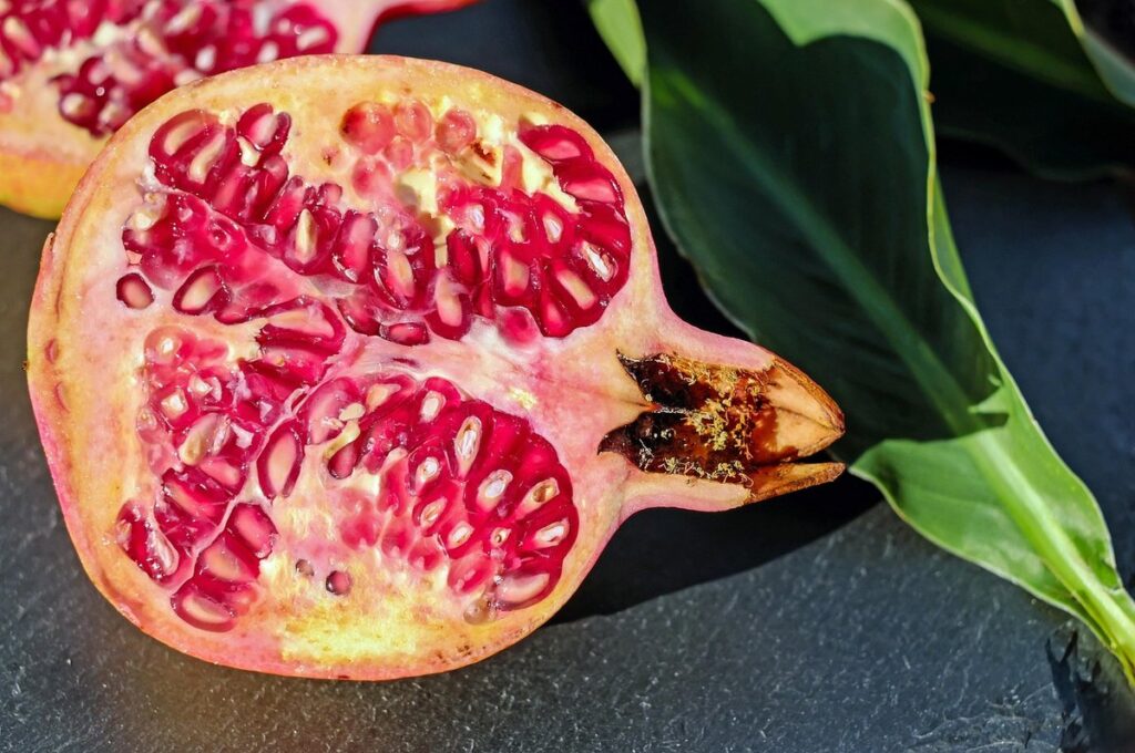 growing pomegranate seeds