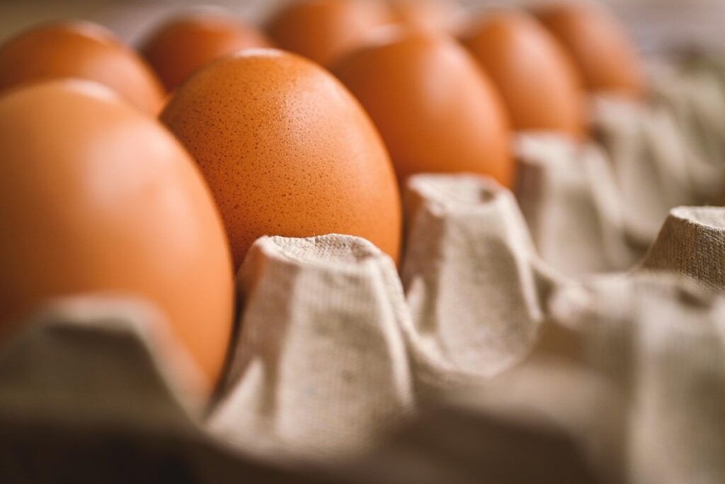 why aren't my chickens laying eggs