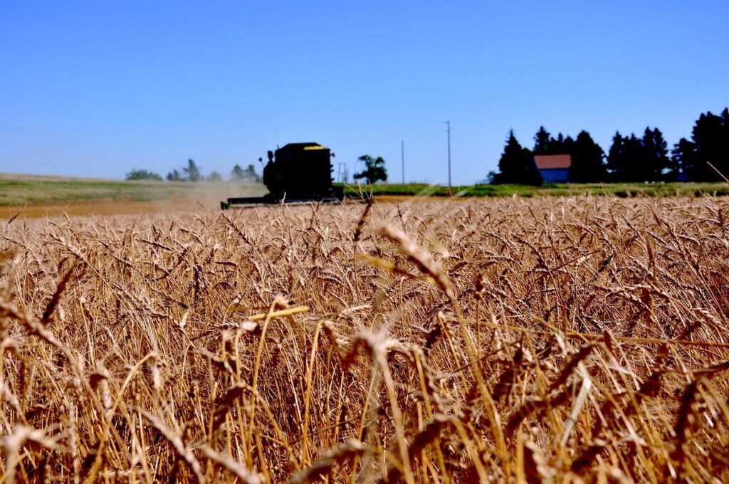 north dakota crops