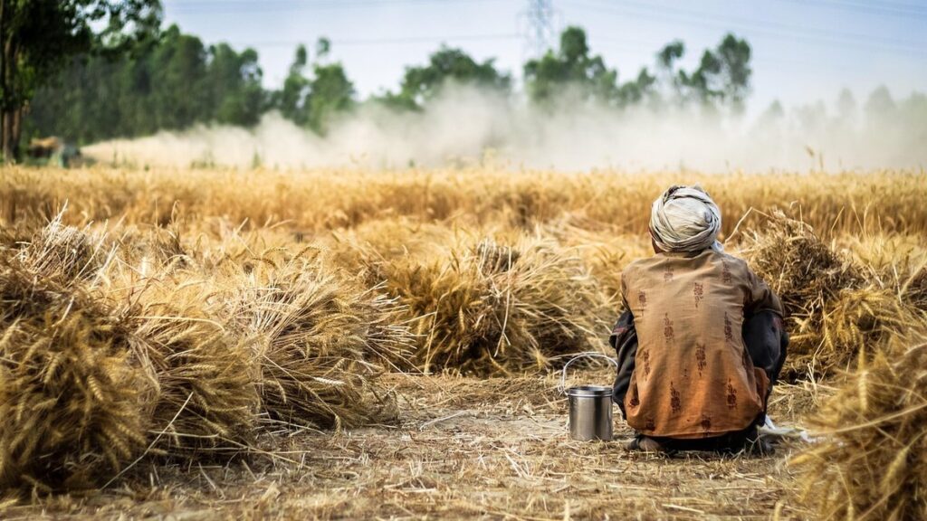 Organic farming