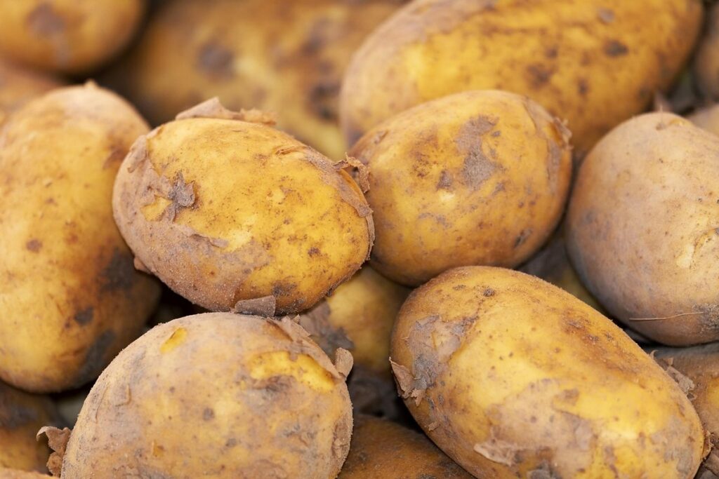 companion plants for potatoes