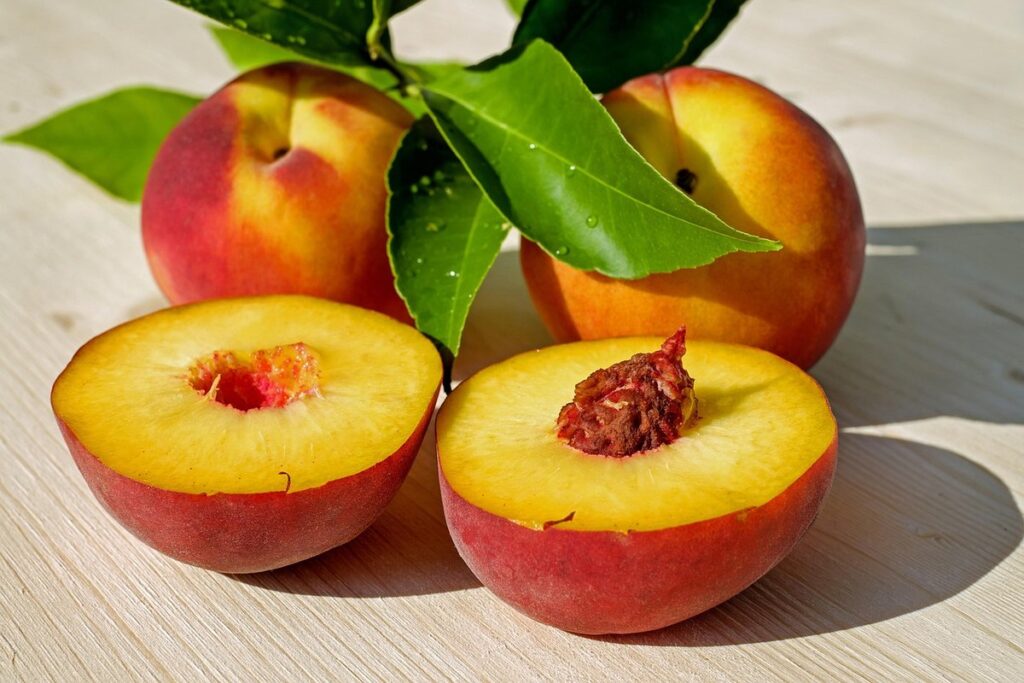 planting peach pits