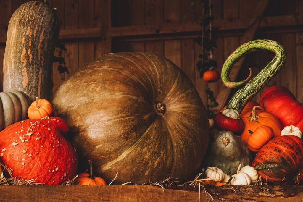 how to keep pumpkins from rotting