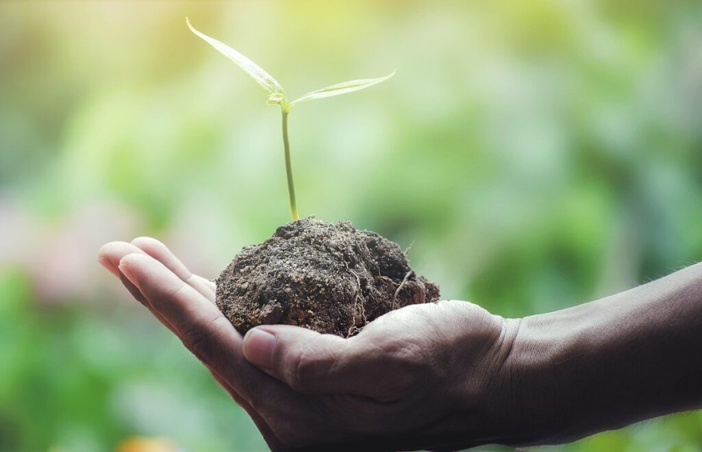 seed saving