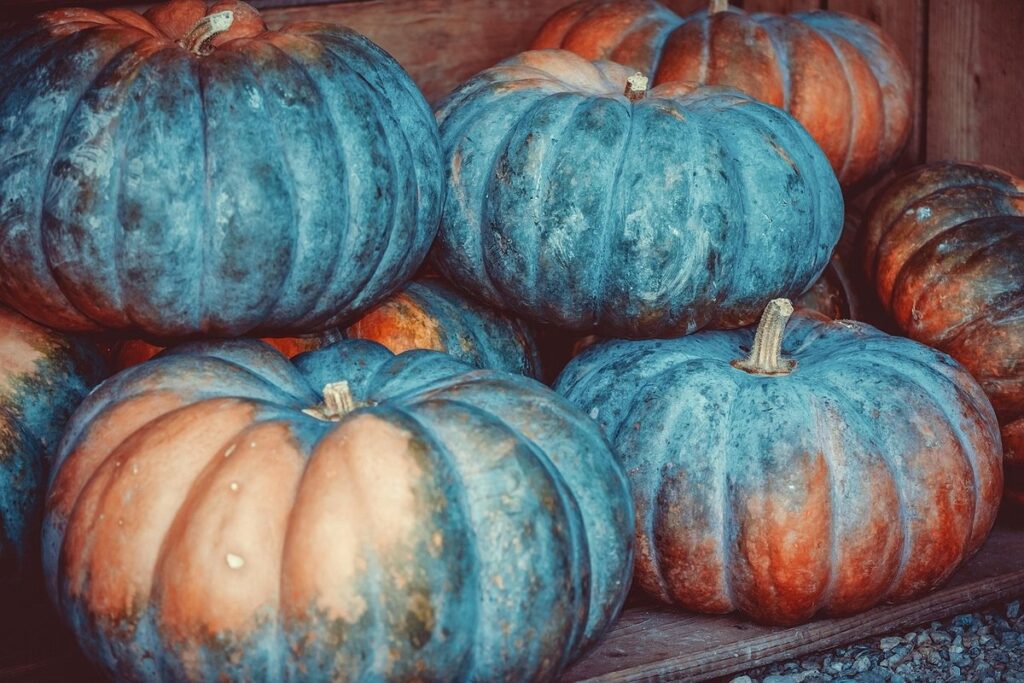 september harvest