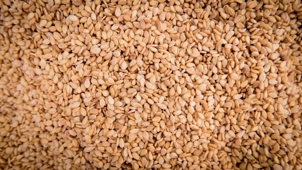 grow sesame seed plant
