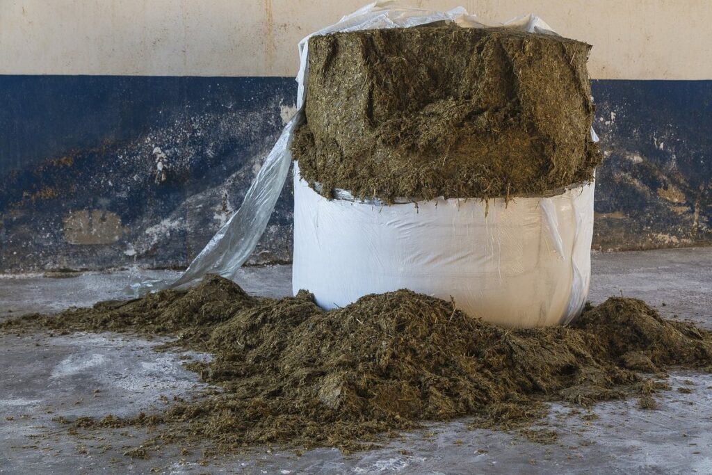 silage or haylage