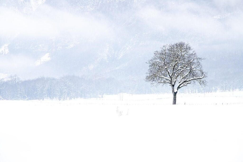 how does a snow fence work