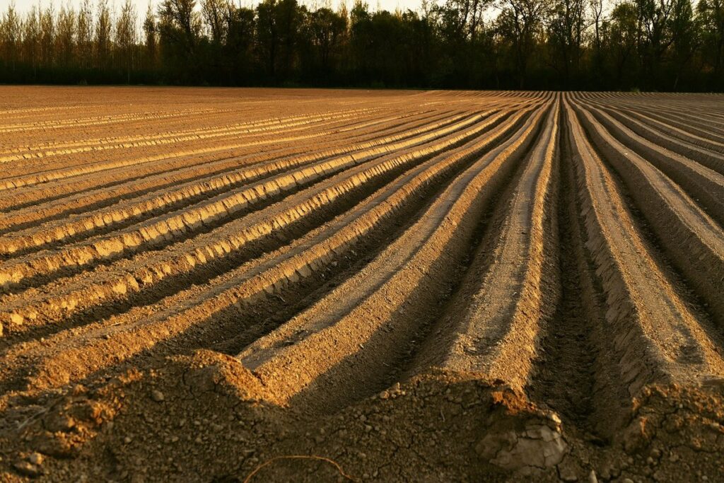 Soil pH adjustment