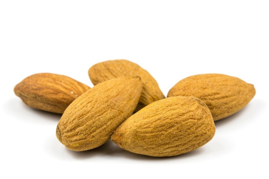 storing seed