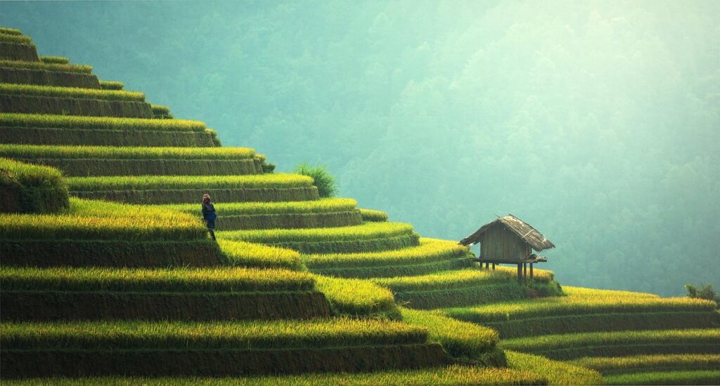 sustainable farming methods and techniques