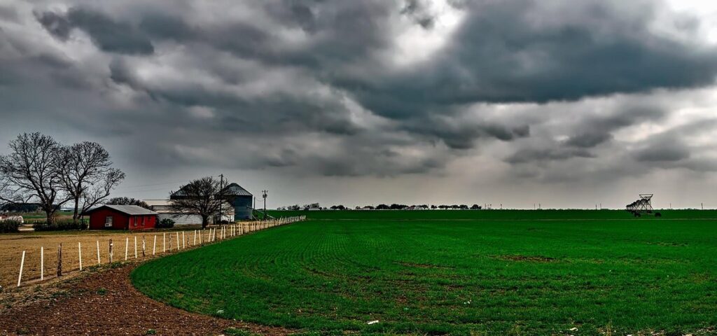 crops grown in texas