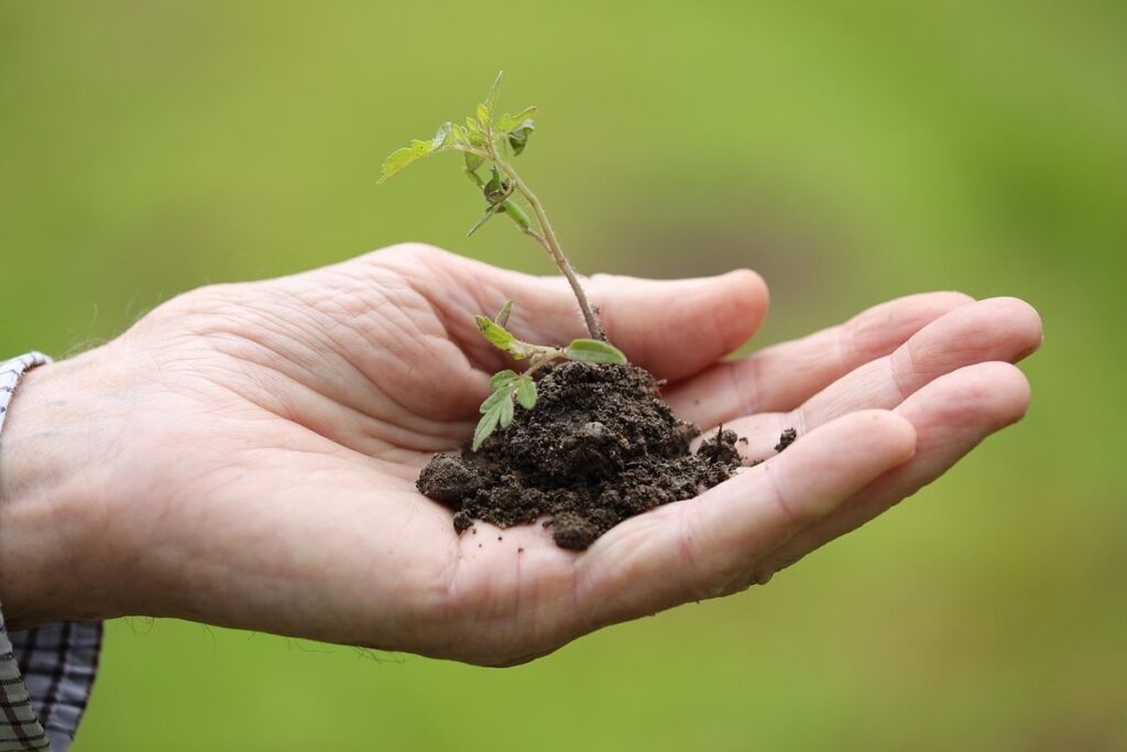 cost of vegetables grown from seeds