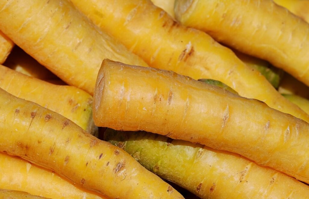 carrot varieties to grow