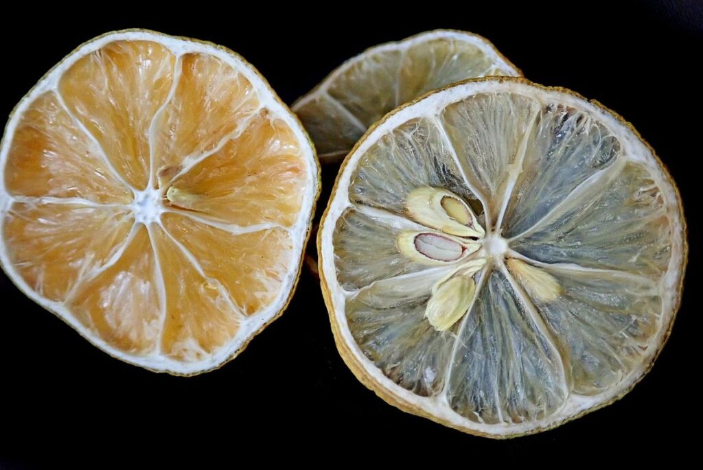 dehydrating food