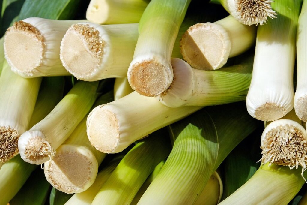 can you grow garlic in greenhouse