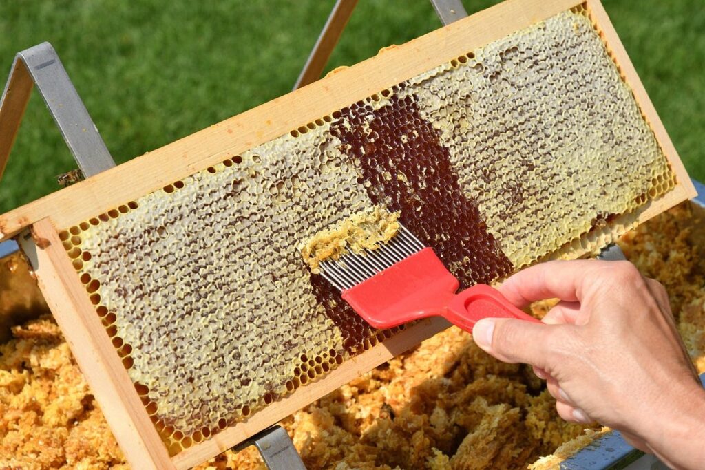 how to extract honey from comb