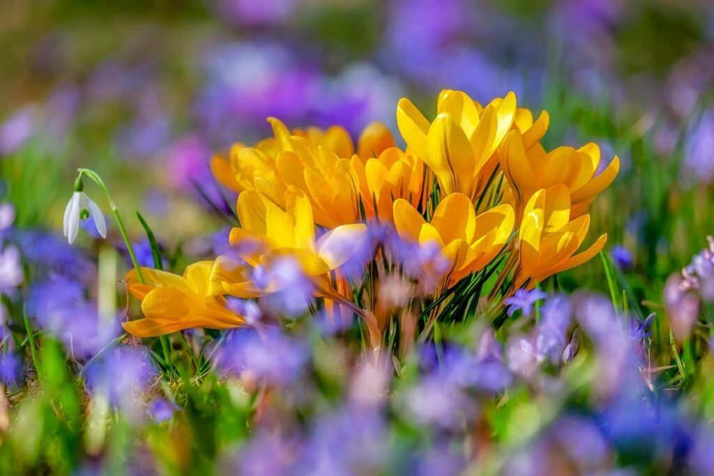 what to do with a natural spring on your property