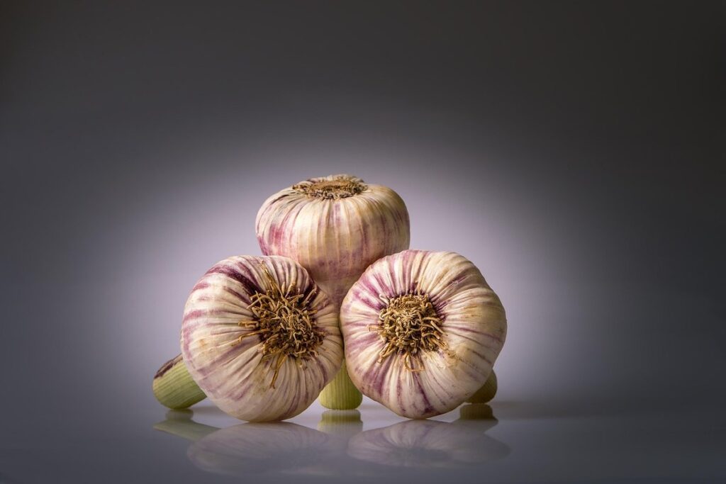 permaculture perennial vegetables