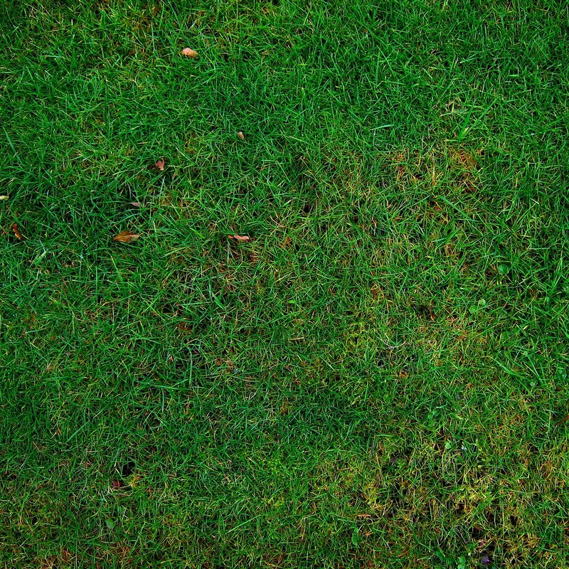 pollinator friendly yards