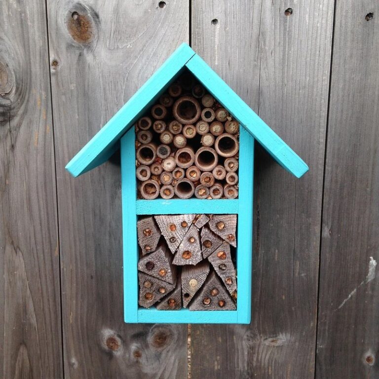 pollinator house