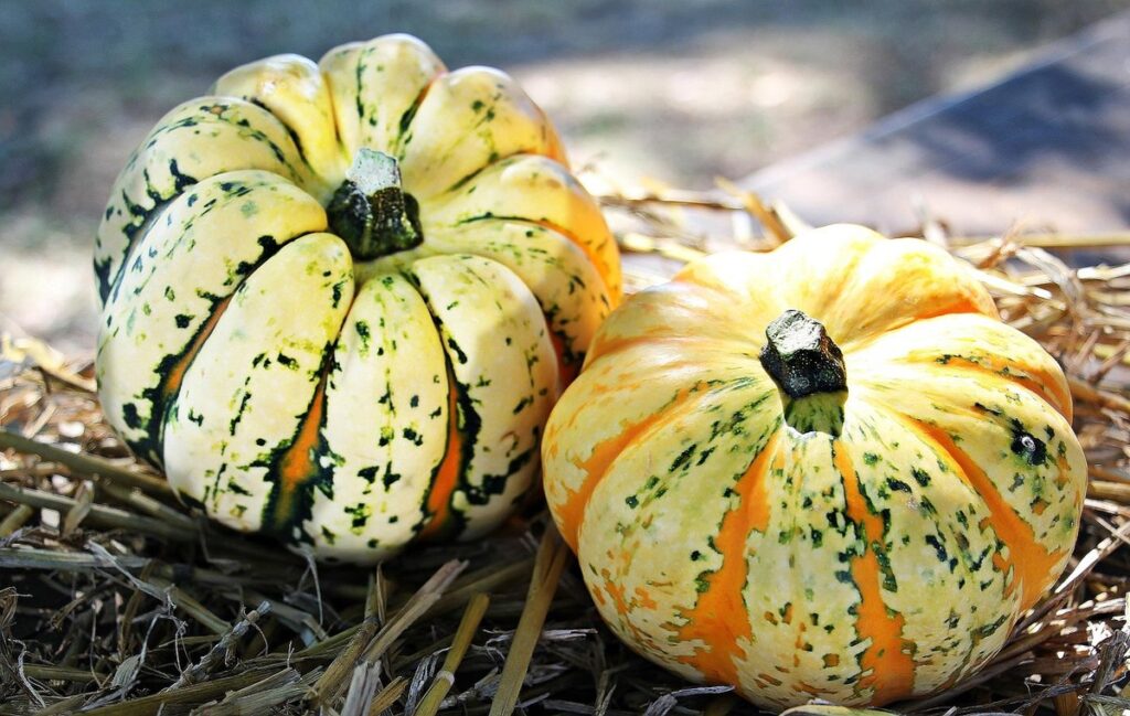 seasonal fruits and vegetables by month