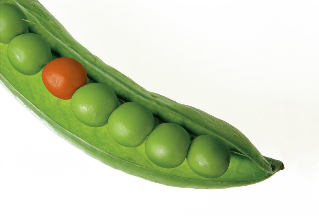 unique crops